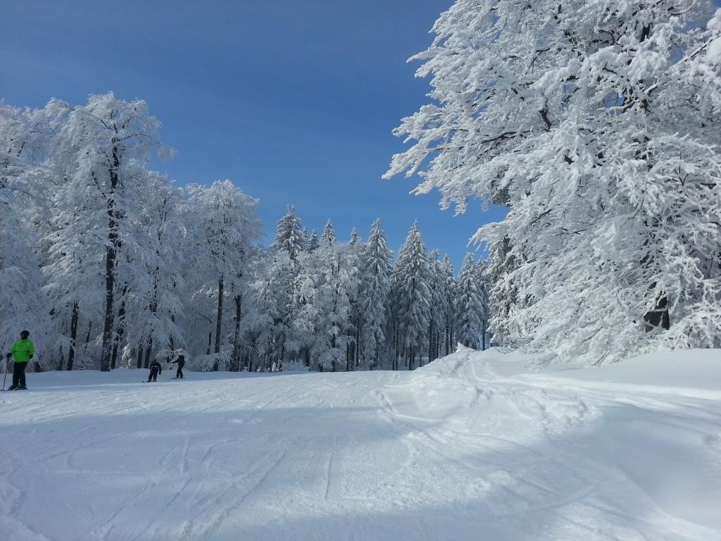 Boehmerwald Pur2 Klaffer am Hochficht Bagian luar foto
